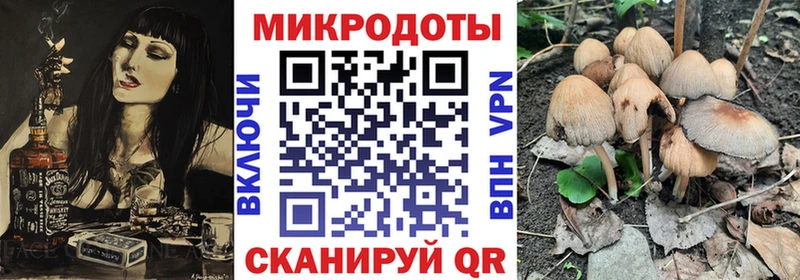 Псилоцибиновые грибы ЛСД  Брюховецкая 